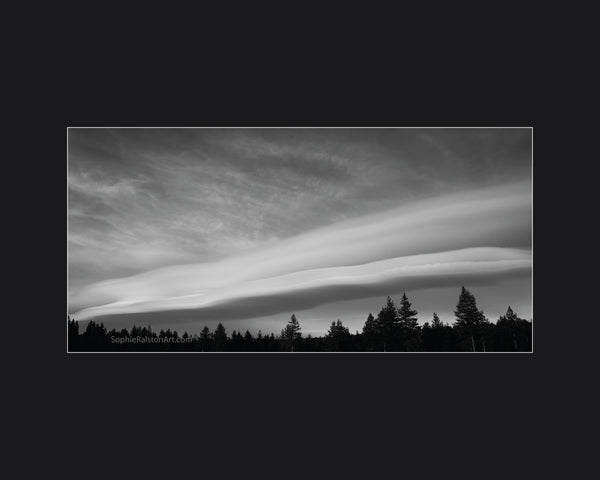 Long Cloud Above Lake Tahoe Pines