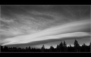 Long Cloud Above Lake Tahoe Pines