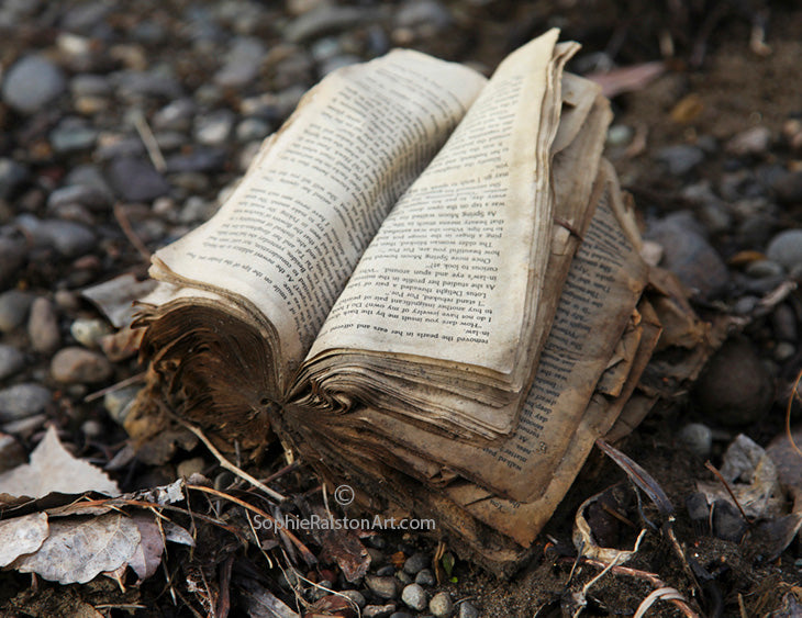 Abandoned Book