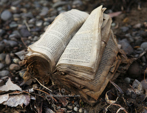 Abandoned Book