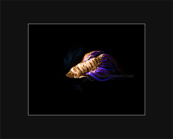 Fish (Light Painting Photograph)