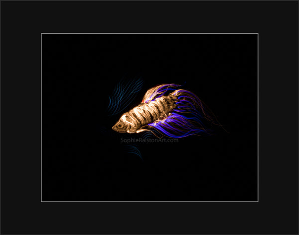 Fish (Light Painting Photograph)