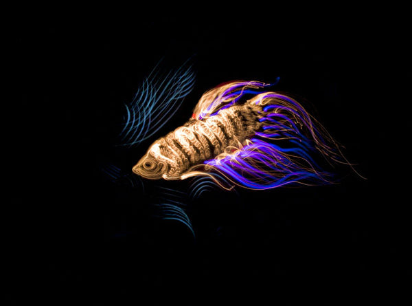 Fish Light Painting Photograph, 5x7 Print