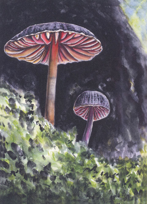 Orange-gilled Mushrooms Original Watercolor Print