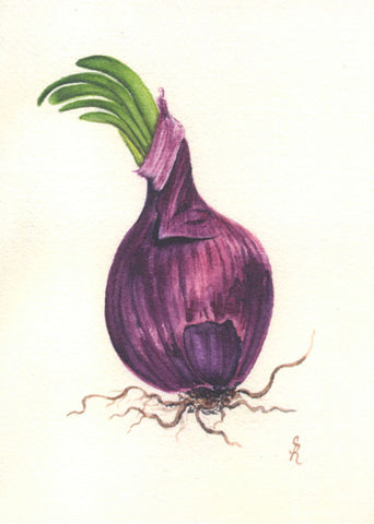 Purple Onion Original Watercolor Print
