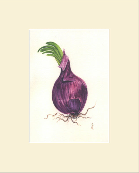 Purple Onion Original Watercolor Print