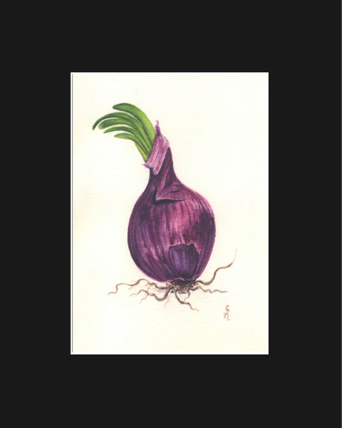 Purple Onion Original Watercolor Print